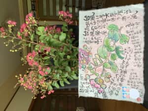 安心、安全が一番。