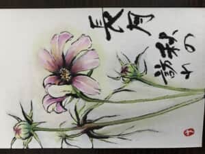 秋桜