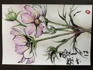 秋桜