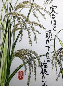 稲穂
