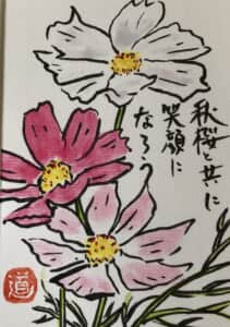 秋桜