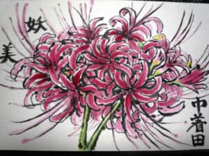 彼岸花