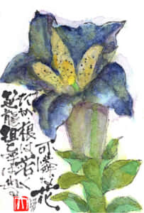 可憐な花だが、根は苦く笹竜胆と呼ばれる