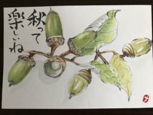どんぐり
