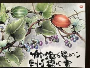 野葡萄と烏瓜