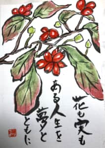 花水木