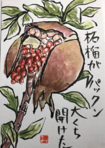 柘榴