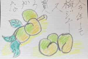 今年も梅ジュース買うかな