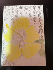 黄色の花は輝き 南国の青い空青い海に輝くように咲く黄色いハイビスカス
