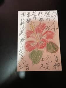 ハワイでは神様の花 赤いハイビスカス，勇敢，常に新しい美