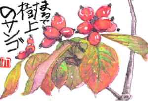 まるで樹上のサンゴ