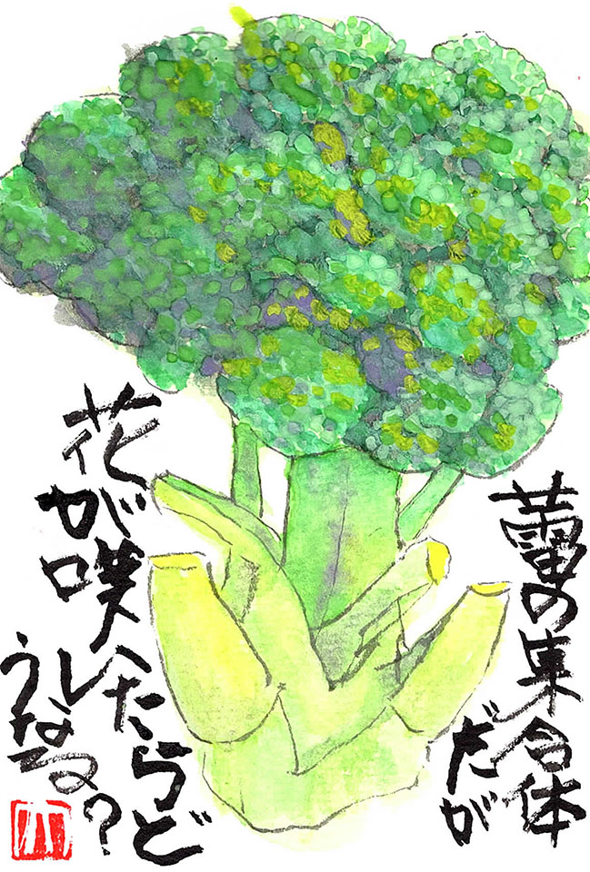 蕾の集合体だが花が咲いたらどうなる 絵手紙 交流ひろば てがみ倶楽部絵手紙 交流ひろば てがみ倶楽部