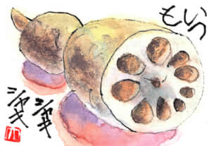 いつもシャキシャキ