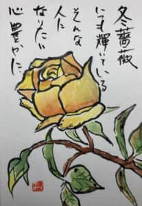 冬薔薇