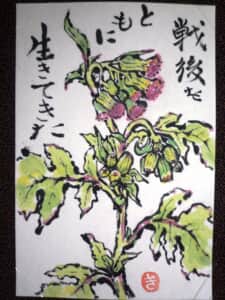 ベニハナボロギク