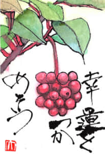 幸運をつかめそう