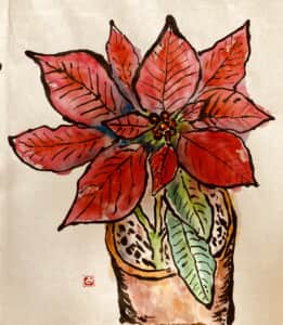 クリスマス間近　情熱の「ポインセチア」(赤）