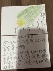 私はキュウリではないズッキーニ