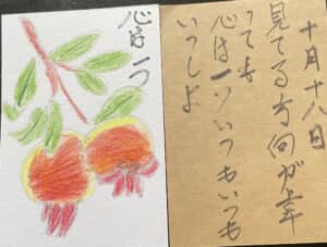 ざくろ 心は一つ