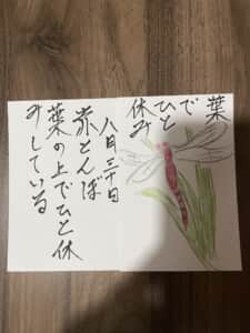 葉でひと休み 赤とんぼ葉の上でひと休みしている