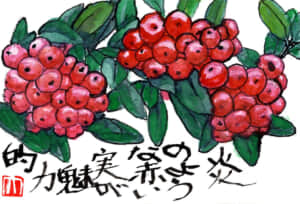 炎のような紅い実が魅力的