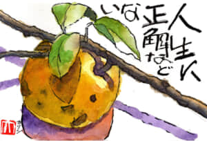 人生に正解などない