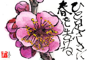 ひと足さきに春を告げる