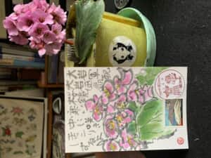 花壇に優しい色が