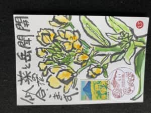菜の花と開聞岳