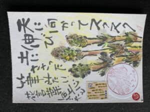 つくしをみっけ‼️