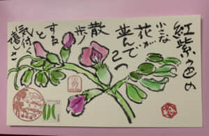 散歩の土産