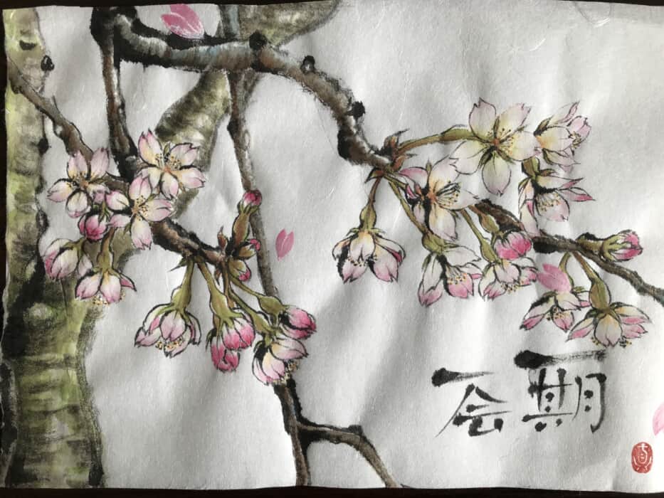 枝垂れ桜