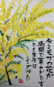 ミモザ