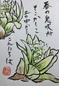 蕗のとう