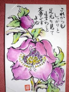 クリスマスローズ