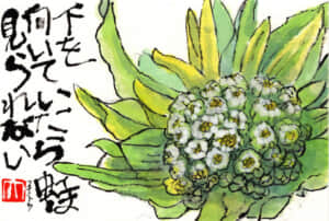 下を向いたら虹は見られない