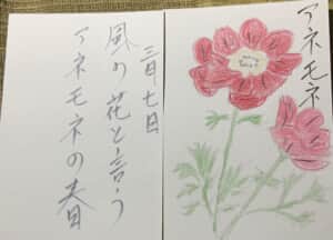 アネモネ