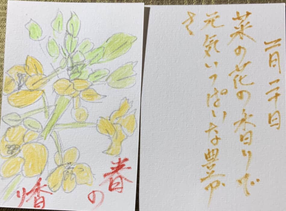 春の香り 〜菜の花の絵手紙〜