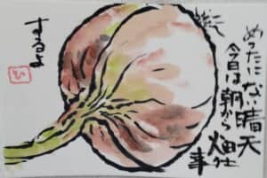 晴天