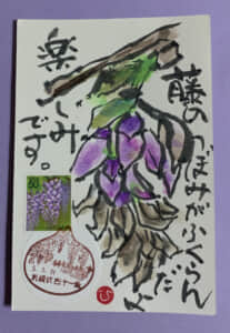 息子と同じ年の藤