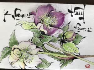 クリスマスローズ