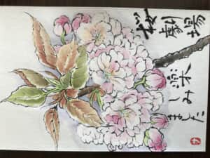 八重桜
