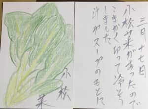 小松菜