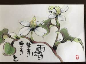 どくだみ