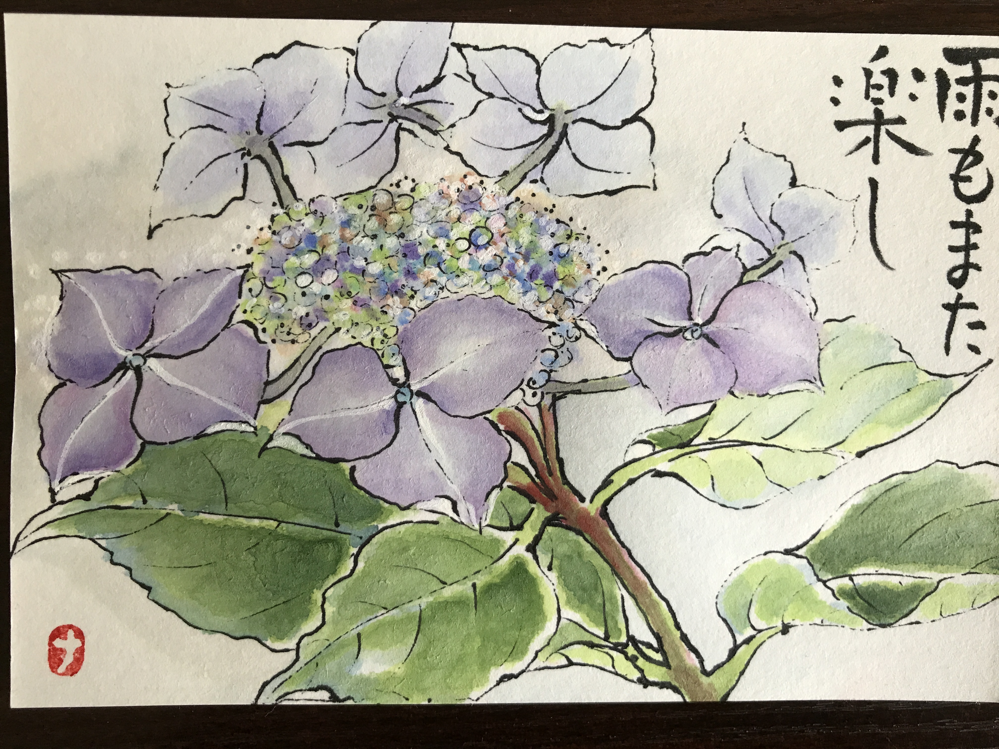 額紫陽花