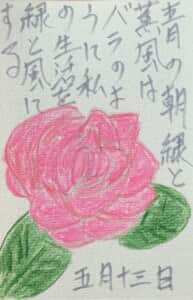 5月の風に緑と薫風は薔薇のように私の生活を緑と風にする