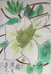 色と緑 涼む色でいい