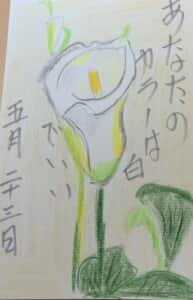 乙女の淑やかさ，カラーの白に学ぶ