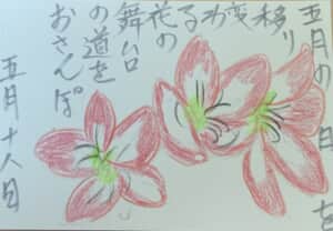 移り変わる花の舞台の道 お散歩