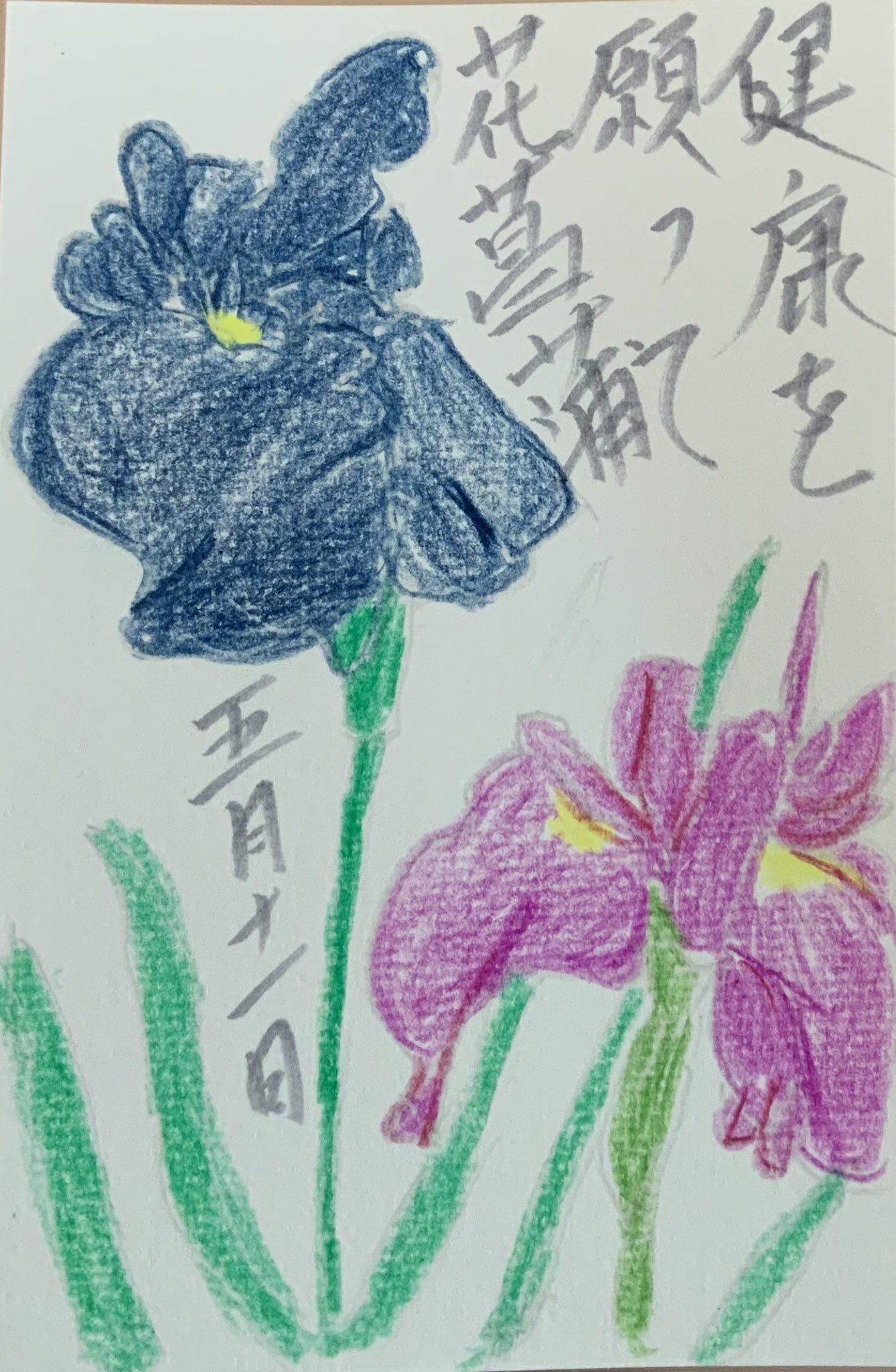 健康を願って花菖蒲